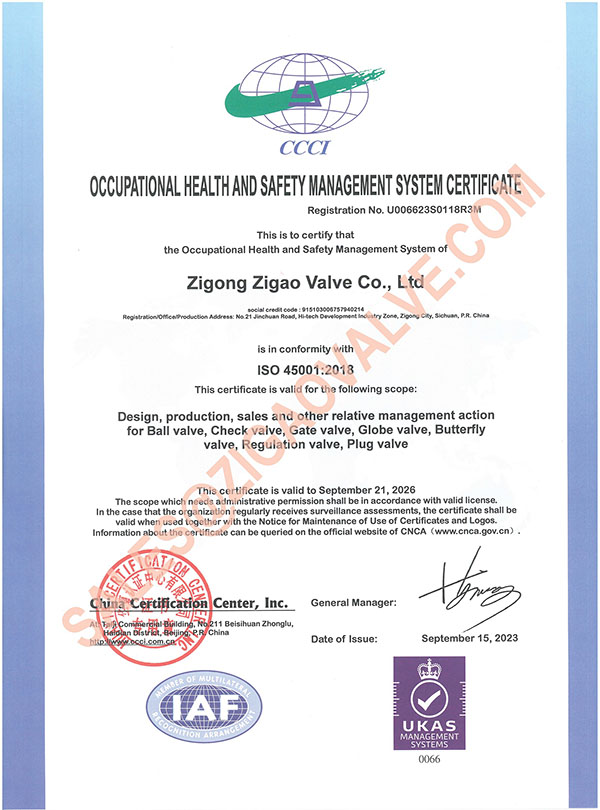 05--45001.jpg